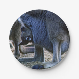 Prato De Papel Canguru bebê na bolsa da mãe - Austrália