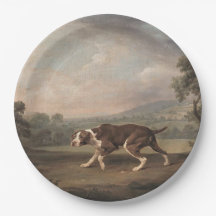 Canino Espanhol (por George Stubbs)