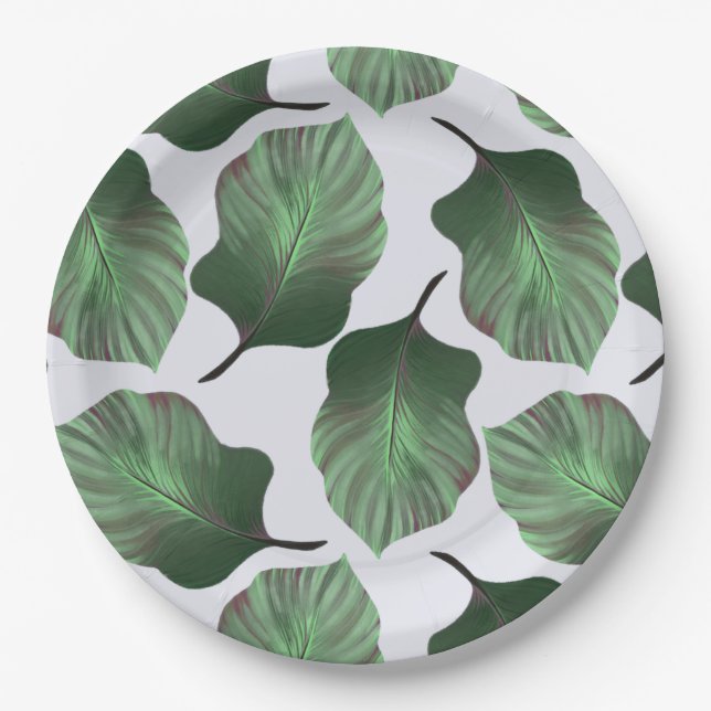 Prato De Papel Canna Tropicanna Tropical Leaves, Verde (Frente)