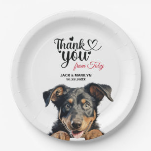 Prato De Papel Cão Beauceron