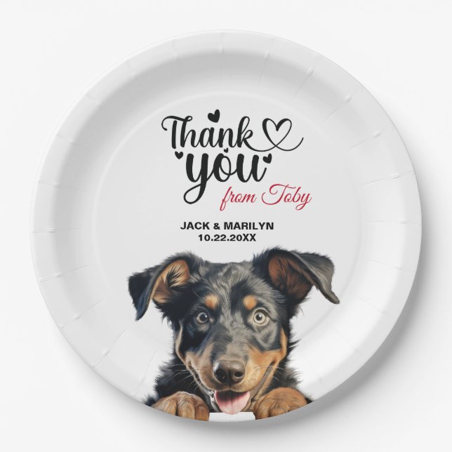Prato De Papel Cão Beauceron (Frente)