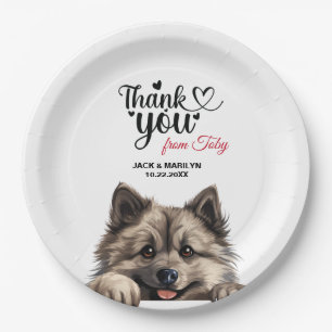 Prato De Papel Cão Keeshond