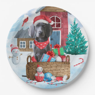 Prato De Papel Cão Weimaraner na Casa de Natal na Neve