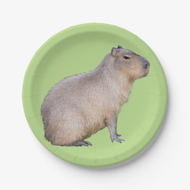 Prato De Papel Capybara (Frente)