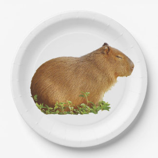 Prato De Papel capybara paper plate