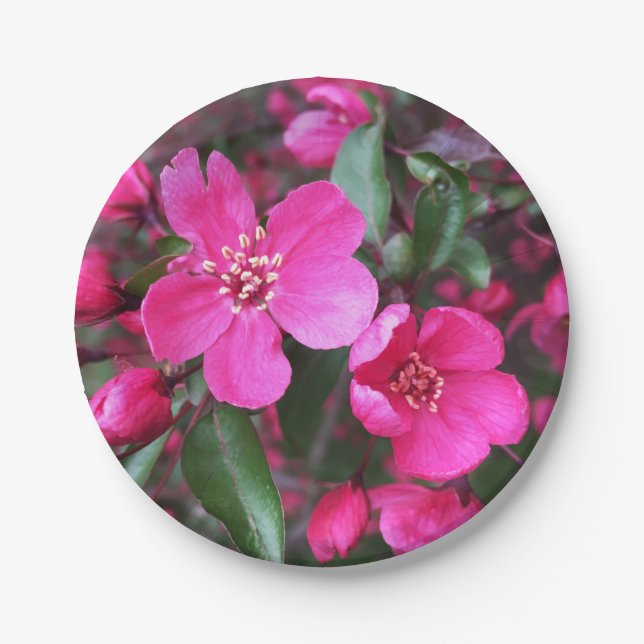 Prato De Papel Caranguejo-Flor Rosa (Frente)