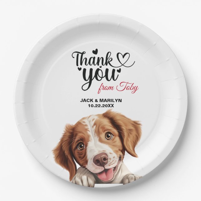 Prato De Papel Casamento Brittany Spaniel Obrigado (Frente)