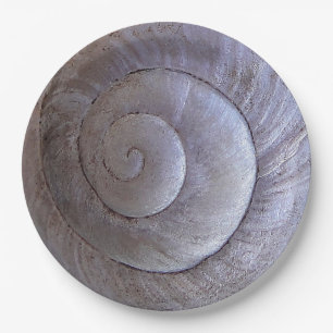Prato De Papel casca de caracol branco