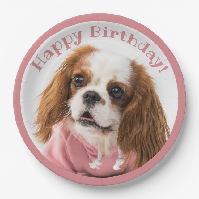Prato De Papel Cavalier King Charles Spaniel Pink Feliz Aniversár (Frente)