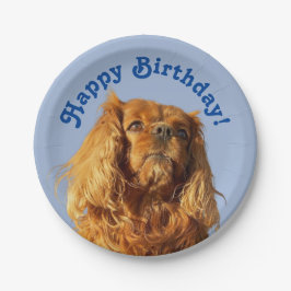 Prato De Papel Cavalier King Charles Spaniel Puppy Dog Blue