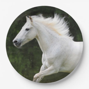 Prato De Papel Cavalo Branco Galopping