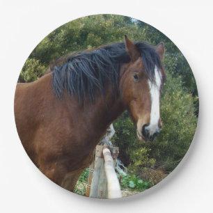 Prato De Papel Cavalo Grande Brown Clydesdale,