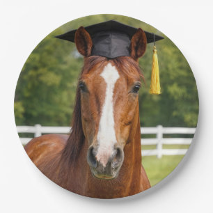 Prato De Papel Cavalo Usando um Chapéu de Formatura