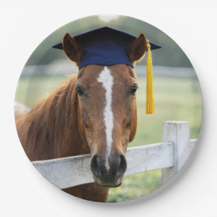 Prato De Papel Cavalo Usando um Chapéu de Graduação