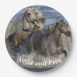 Prato De Papel Cavalos galopando na água