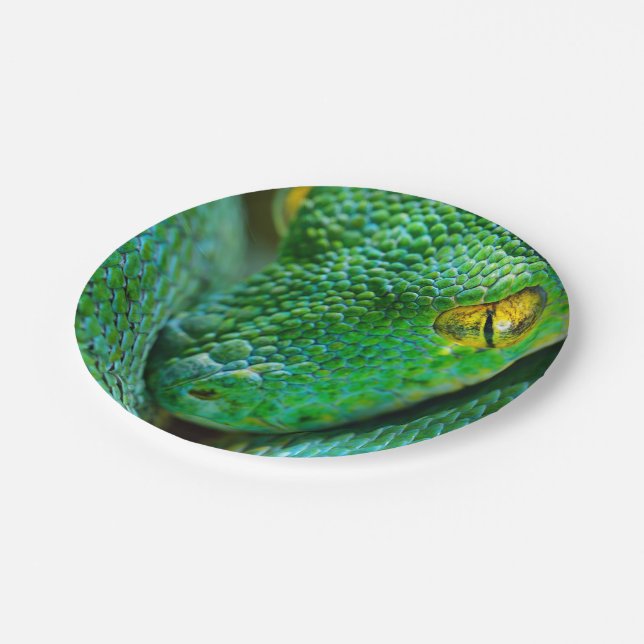 Prato De Papel Cena da árvore (Inclinado)