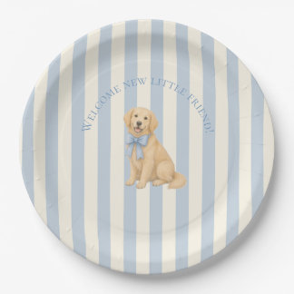 Prato De Papel Chá de Bebê do Retriever Dourado Azul