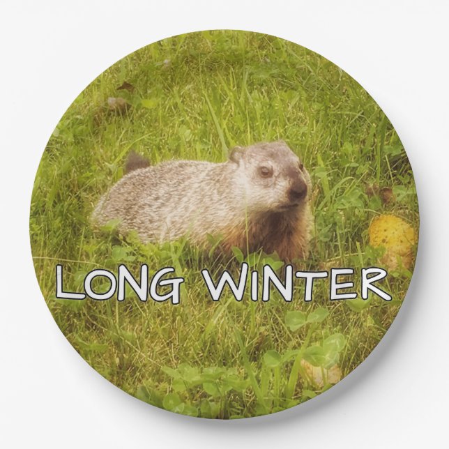 Prato De Papel Chapas de inverno longas (Frente)