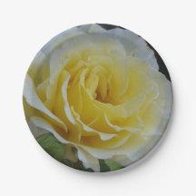 Chapas de papel branco, rosa