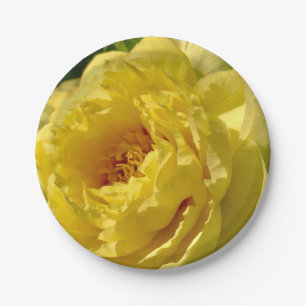 Prato De Papel Chapas de papel de 7", Peony Amarelo Duplo