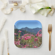 Chapas de Papel e Bolinhos Mt Tamalpais Flores Ros