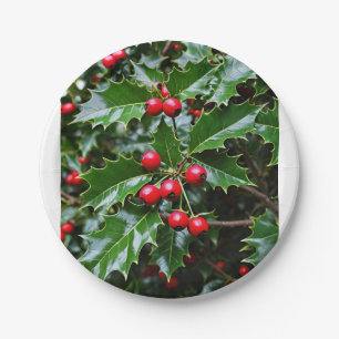 Prato De Papel Chapas de papel Holly