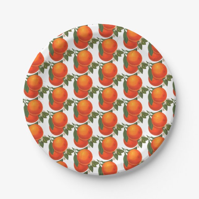 Prato De Papel Chapas de Papel Padrão de Laranjas Retroativas (Frente)