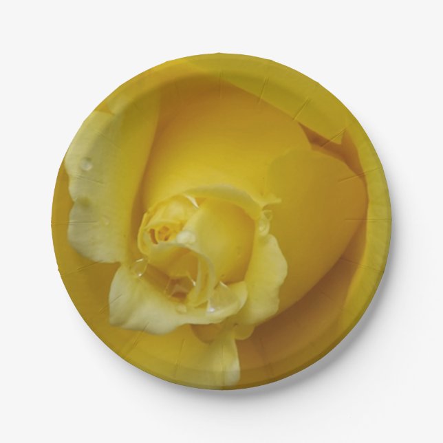 Prato De Papel Chapas de papel rosa amarelas (Frente)