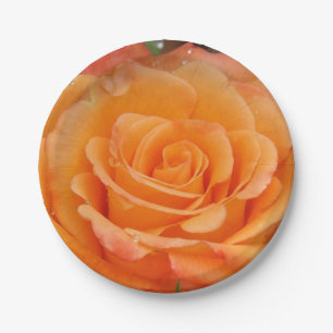 Prato De Papel Chapas de rosa laranja