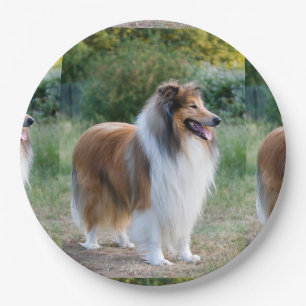 Prato De Papel cheio 5 collie.png ásperos