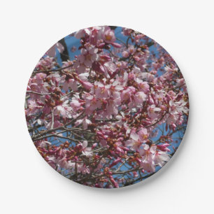 Prato De Papel Cherry Blossoms e Blue Sky Primavera Floral
