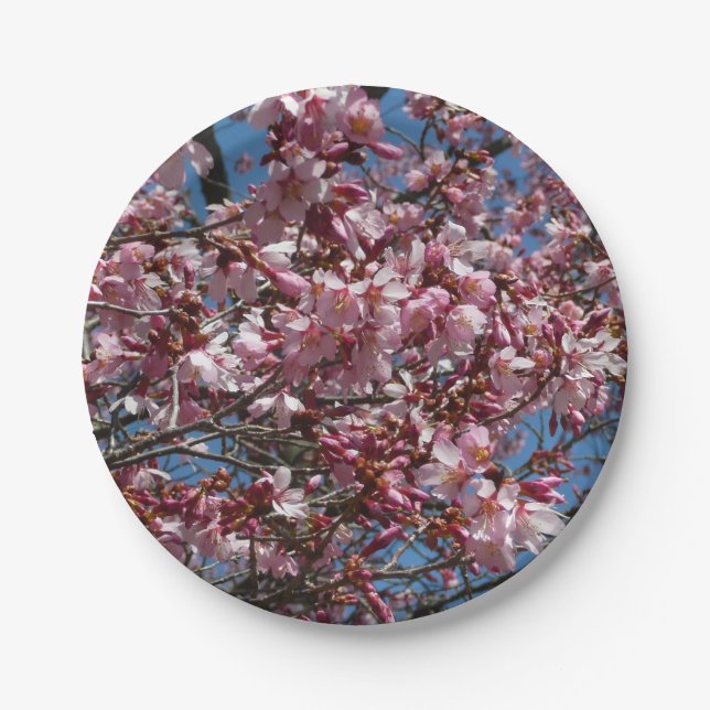 Prato De Papel Cherry Blossoms e Blue Sky Primavera Floral (Frente)