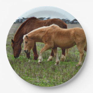 Prato De Papel Chestnut Mare E Palomino Foal,