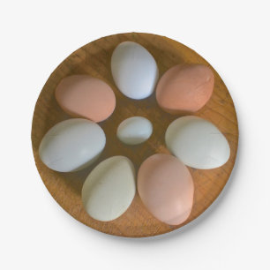 Prato De Papel Chicken - Chicken Paper Plate