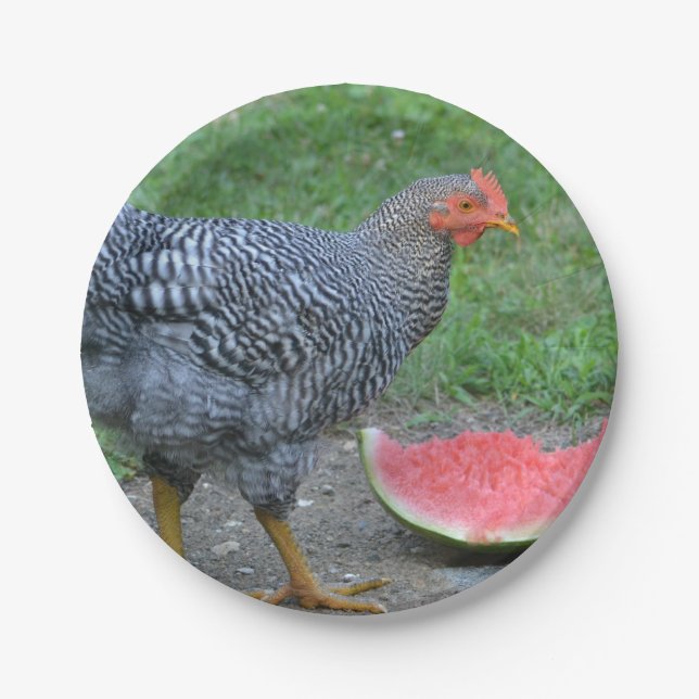 Prato De Papel Chicken e Watermelon Paper Plate (Frente)