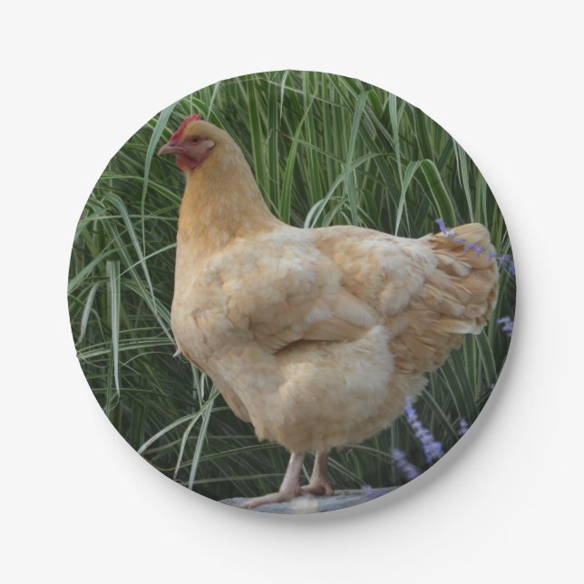 Prato De Papel Chicken Paper Plate (Frente)