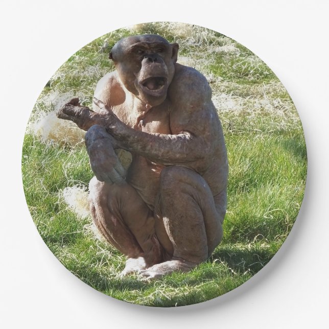 PRATO DE PAPEL CHIMPANZÉ (Frente)