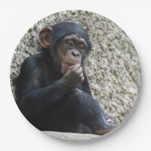 Prato De Papel Chimpanzé 013