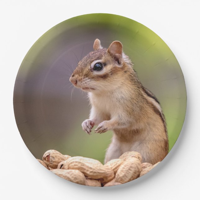 Prato De Papel Chipmunk com amendoins (Frente)