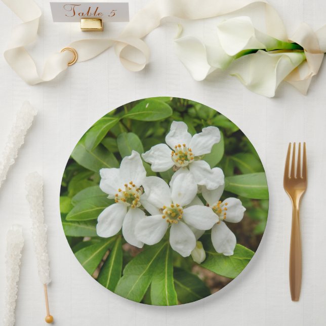 Prato De Papel Choisya Ternata Paper Plate (Casamento)