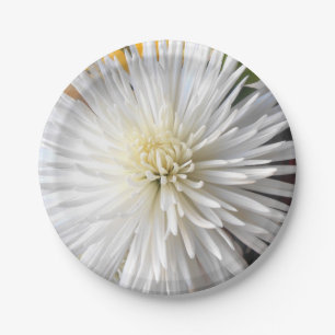 Prato De Papel Claricia