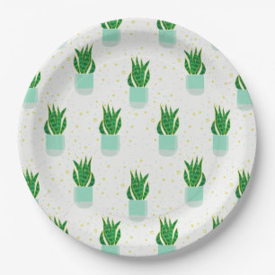 Prato De Papel Cobra de planta de Sansevieria Potted