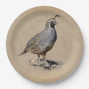 PRATO DE PAPEL CODORNIZ DE CALIFÓRNIA