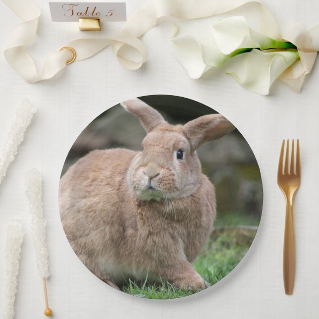 Prato De Papel Coelhinho de gengibre bonito com orelhas grandes (Casamento)