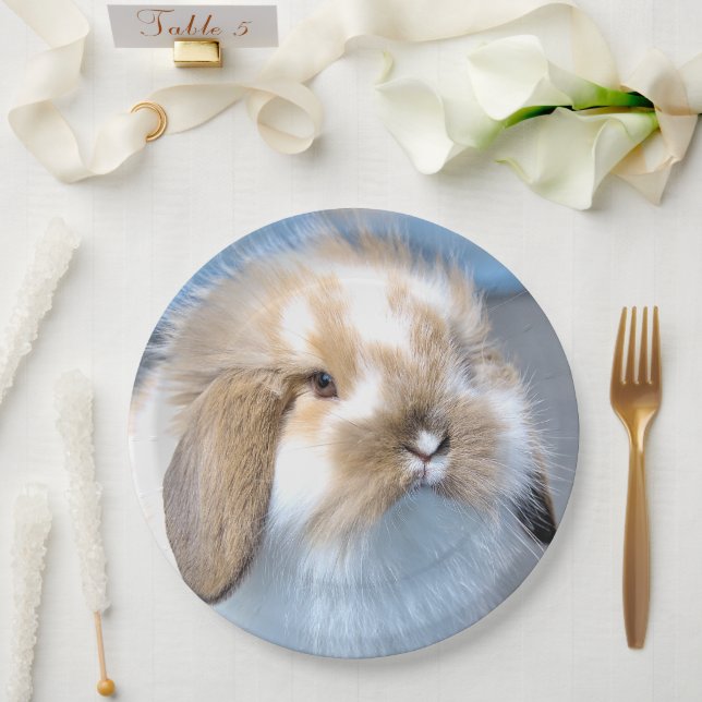 Prato De Papel Coelho branco-flamengo-cavo (Casamento)