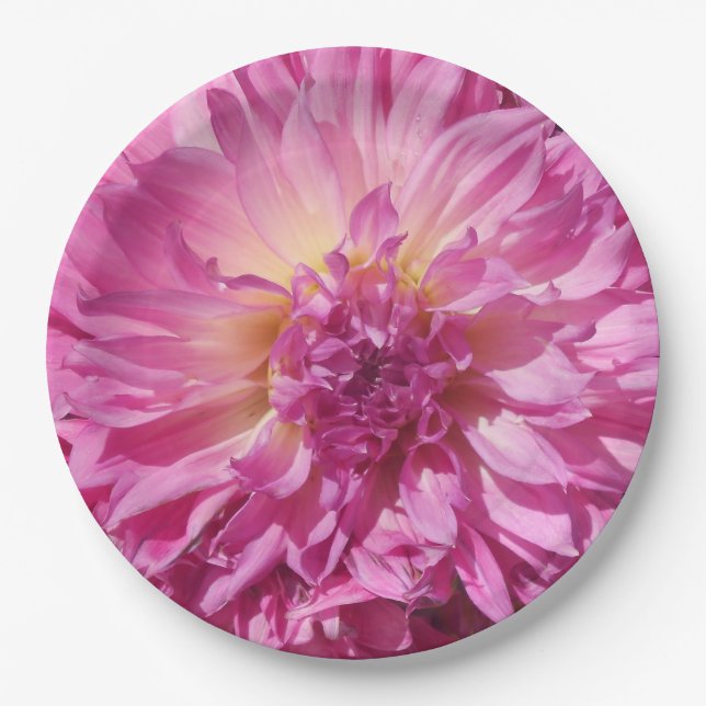 Prato De Papel Cogniet (Frente)