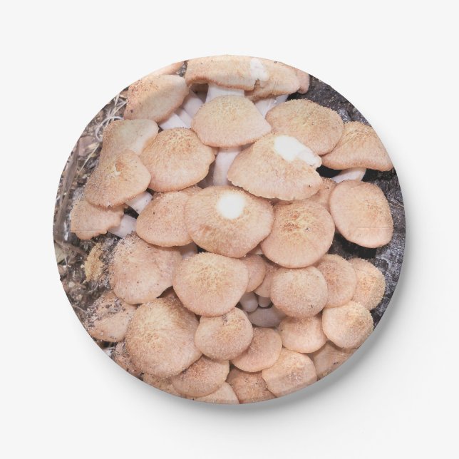 Prato De Papel cogumelos de mel sem ferrão numa placa de papel (Frente)