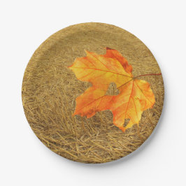 Prato De Papel Colheita de Papel de Amor