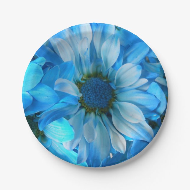 Prato De Papel Collaert (Frente)