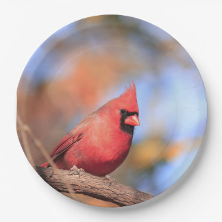 Prato de papel com imagem de um cardeal-vermelho m